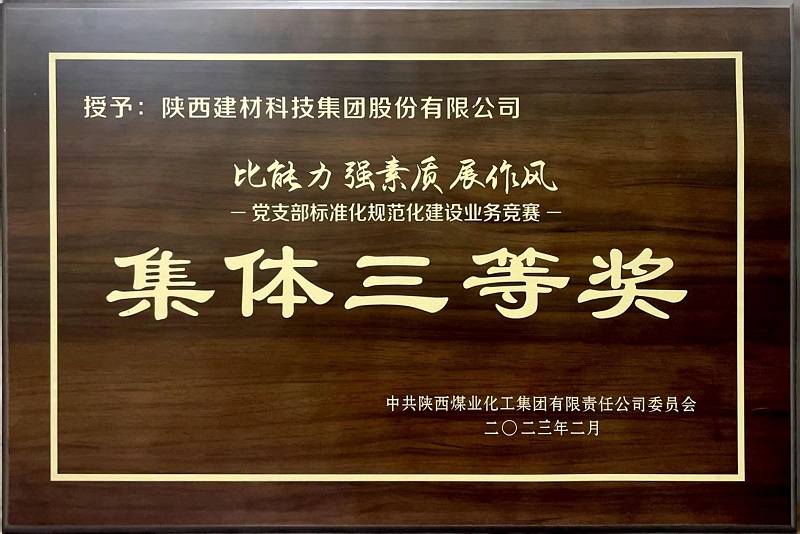 公司榮獲“黨支部標準化規范化建設業務競賽”集體三等獎