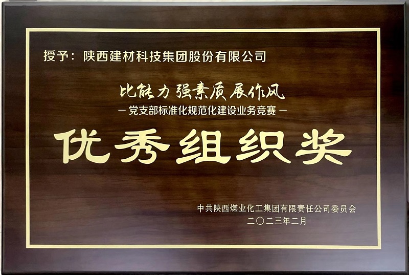 公司榮獲“黨支部標準化規范化建設業務競賽”優秀組織獎